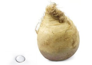 swede