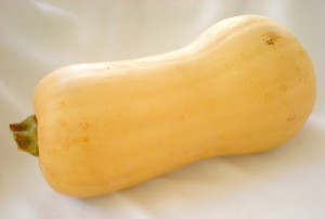butternut squash