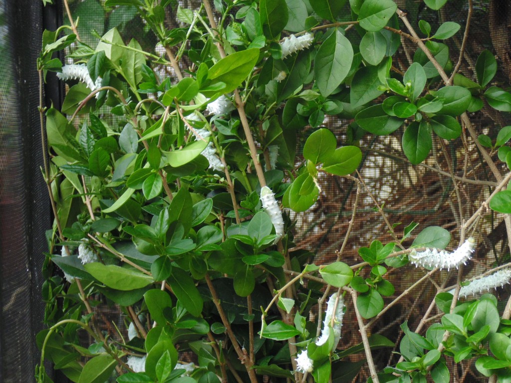 DSC03205
