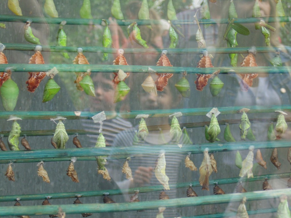 DSC03209