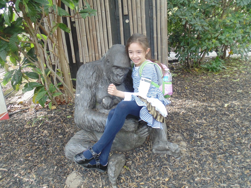 DSC03275