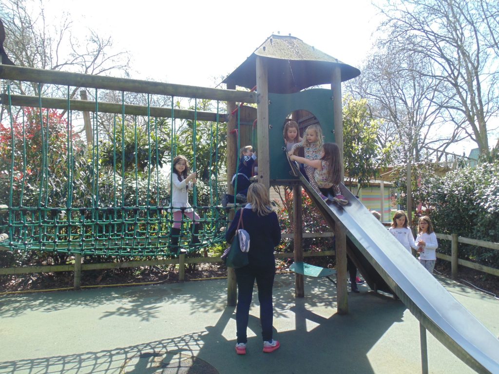 DSC03192
