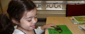 Read more about the article Dorling Kindersley Focus Day
