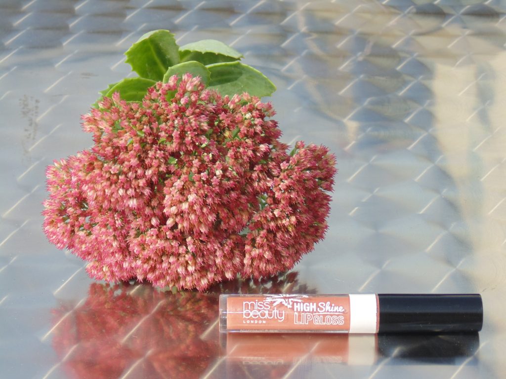 09 Angelic Lip Gloss from Miss Beauty London