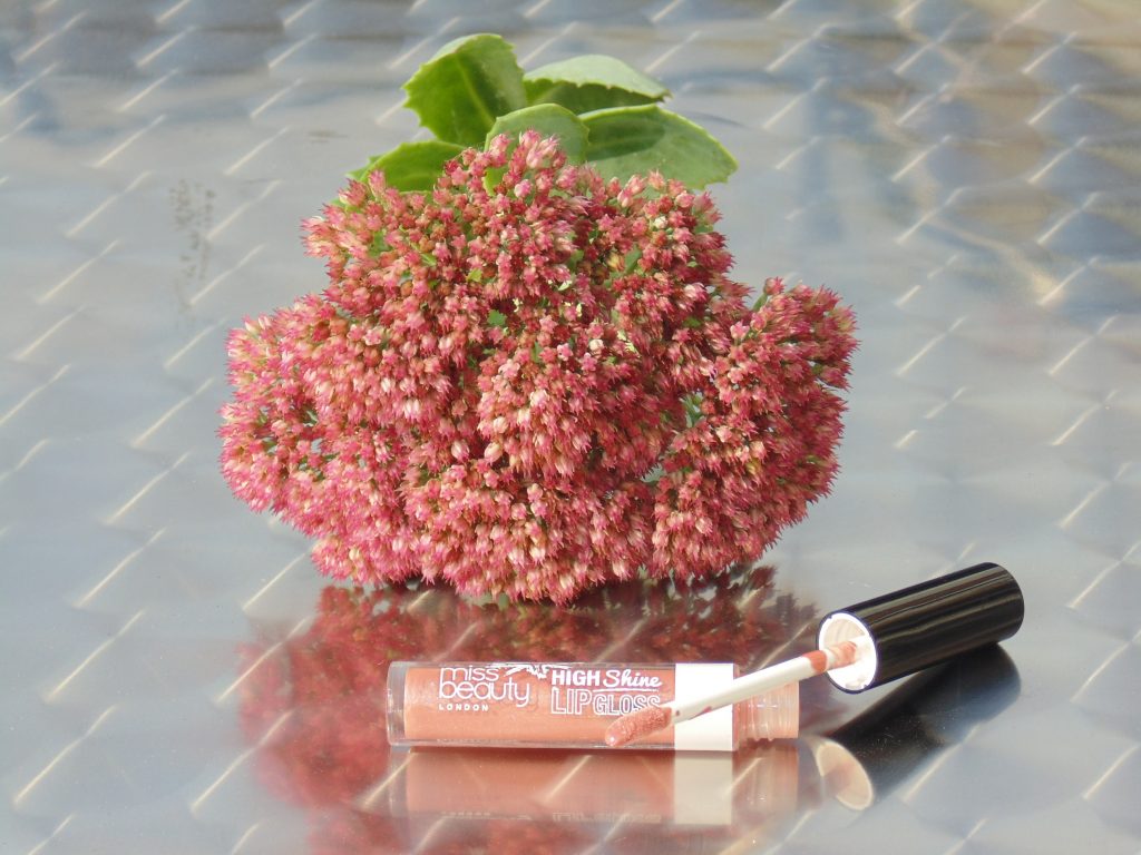 09 Angelic Lip Gloss from Miss Beauty London