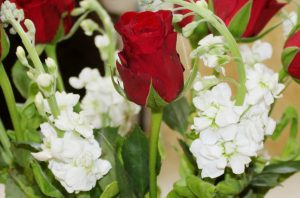 Read more about the article Flower Colours and their Meaning
