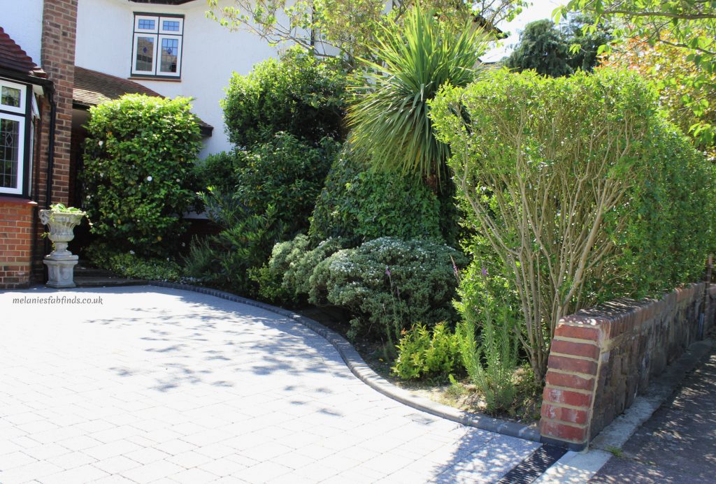 Low Maintenance Garden Ideas