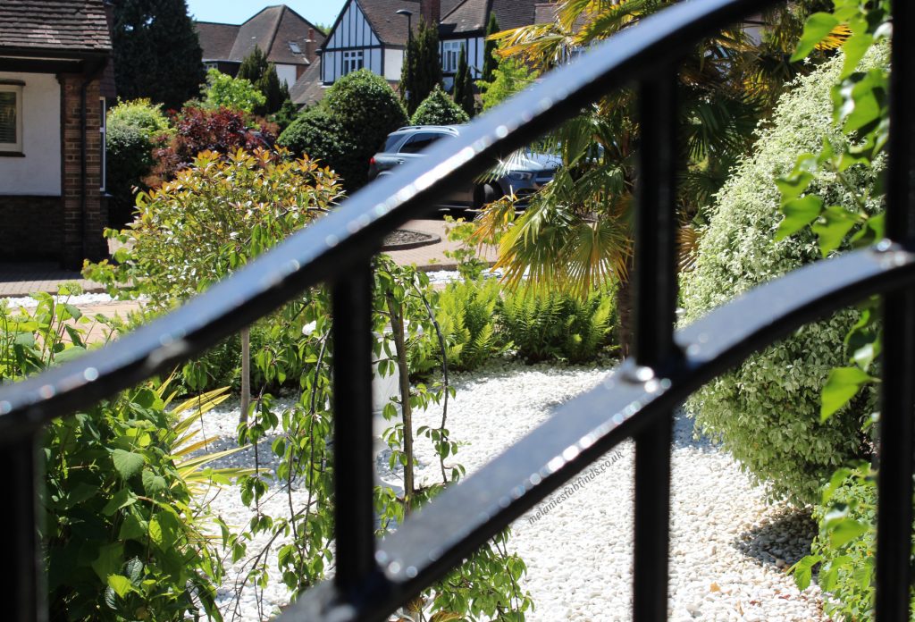 Low Maintenance Garden Ideas