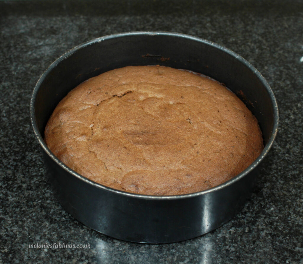 Chocolate Sponge with Vanilla Cream and Cherries