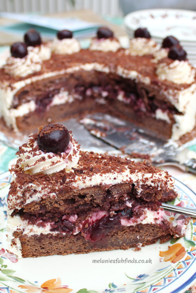Chocolate Sponge with Vanilla Cream and Cherries