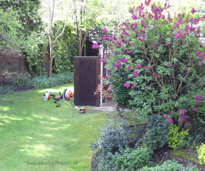 Preparing Your Garden for Spring