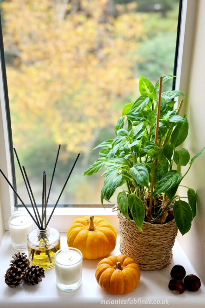 Autumn Decoration Ideas for Your Home