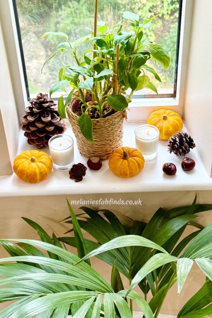 Seasonal Decor Ideas That Everyone Will Enjoy
