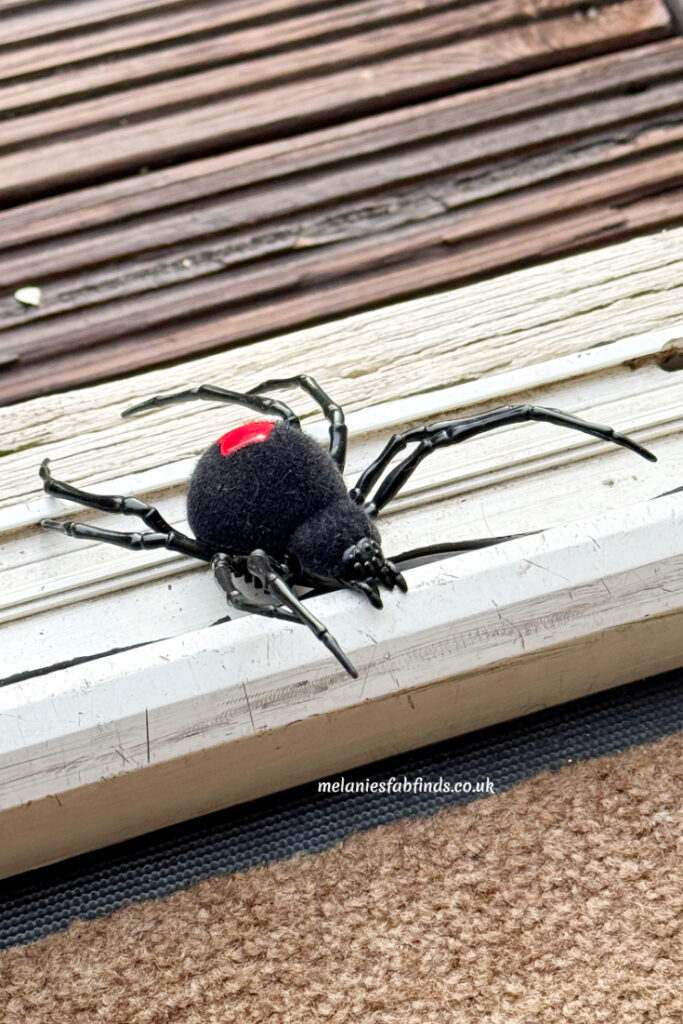 How to Get Rid of Spiders